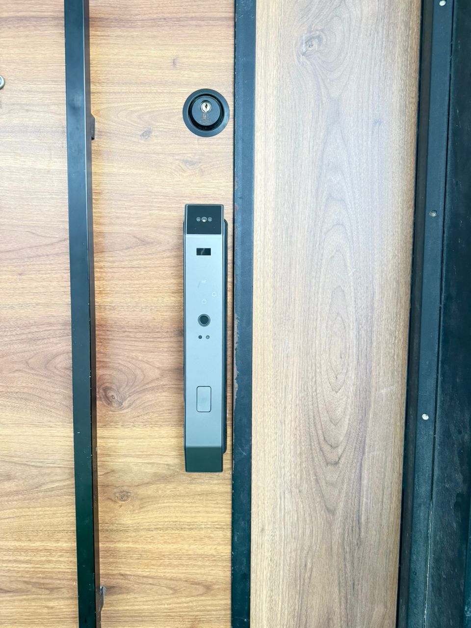 Smart Fingerprint, Biometric, Password, FaceID Security D...